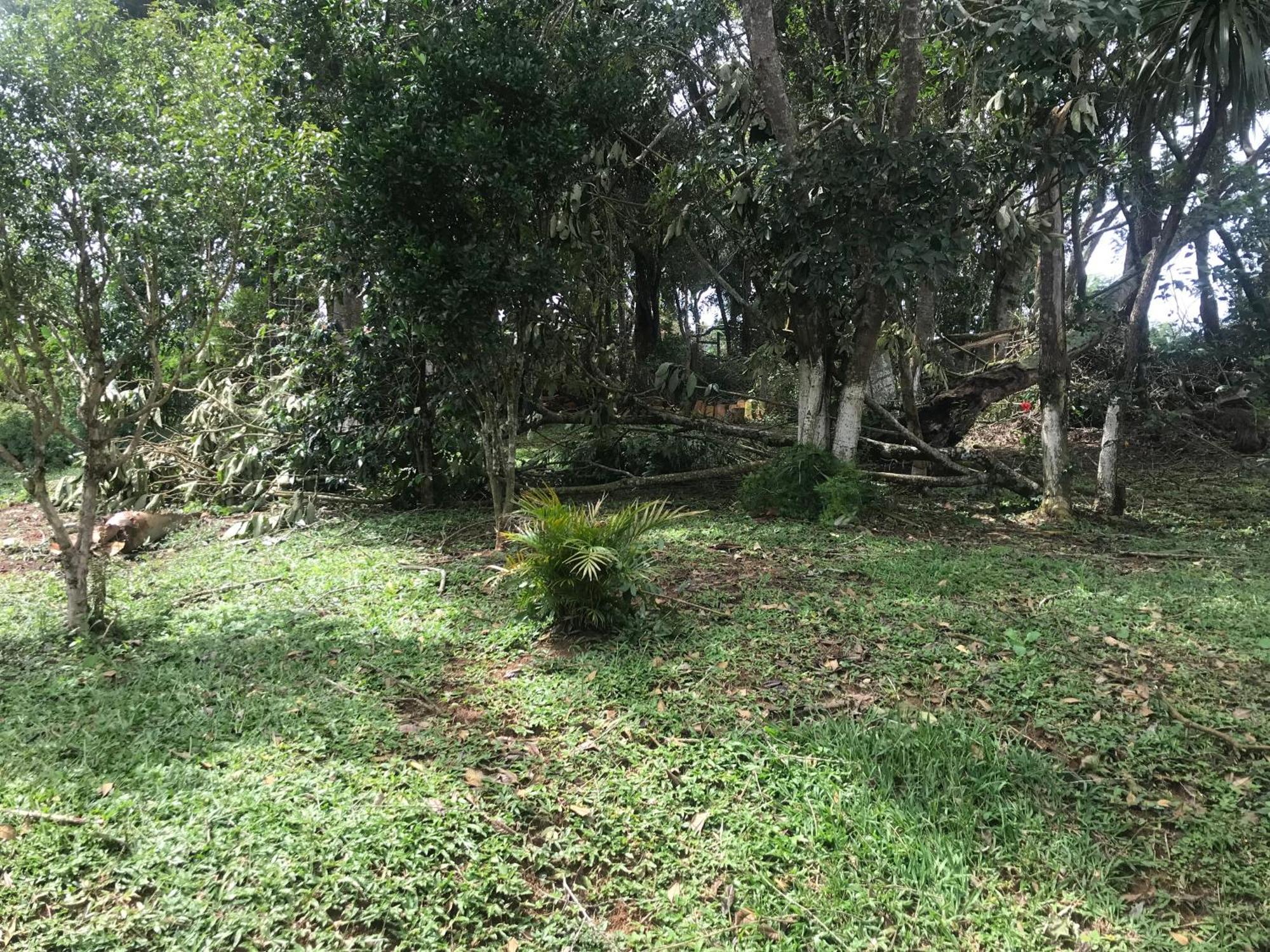 Recanto Figueiredo Vila Ibiúna Exterior foto