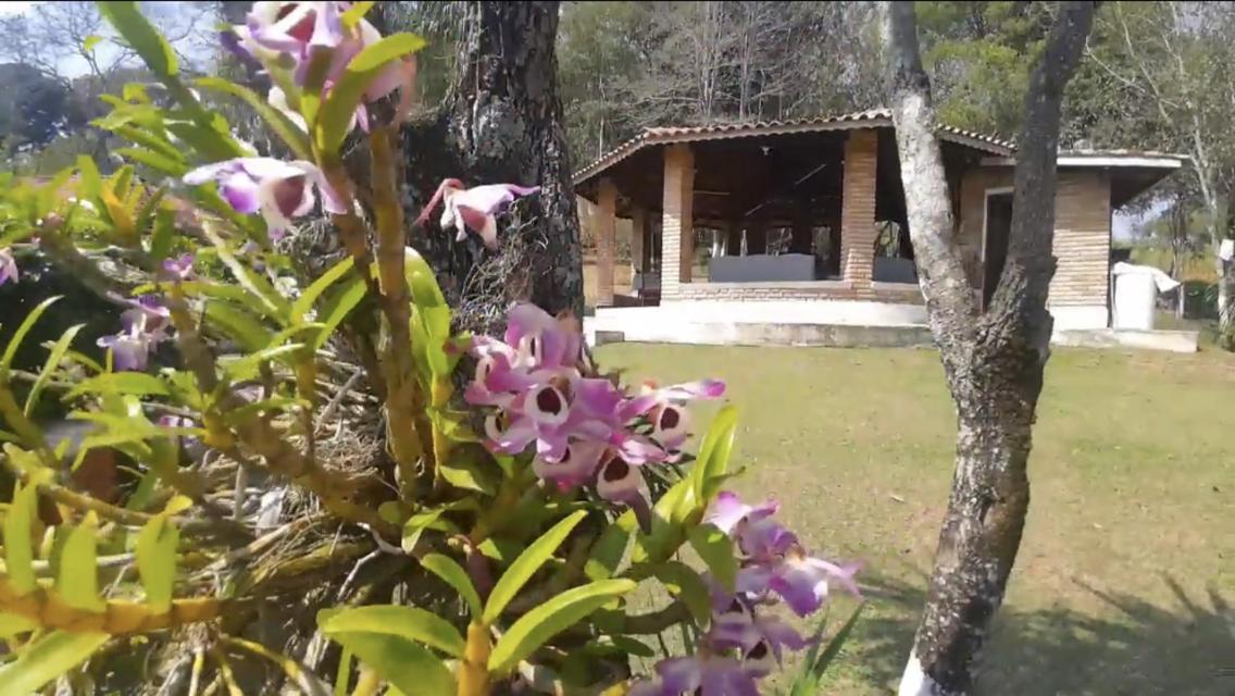 Recanto Figueiredo Vila Ibiúna Exterior foto